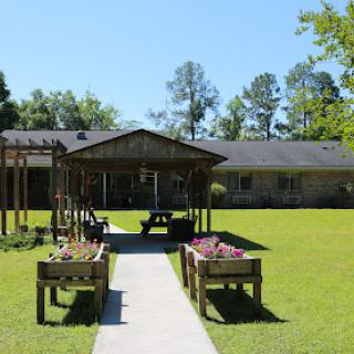 A serene outdoor space featuring a garden, a pathway leading to a building, and a pavilion under clear blue skies.