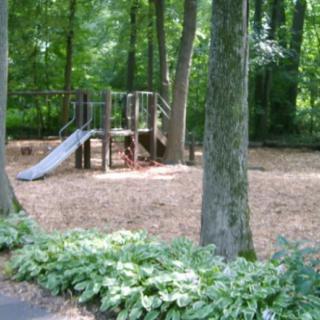 A small playground with a slide surrounded by trees in a wooded area.
