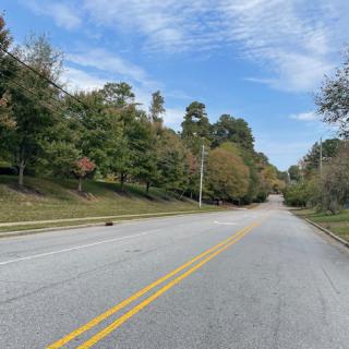 A quiet road lined with trees under a blue sky.