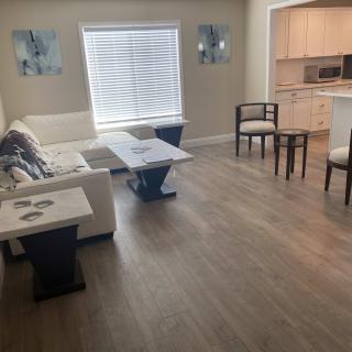A modern open-concept living room and kitchen with sleek furniture and natural lighting.