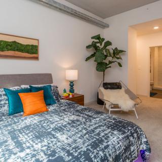A modern bedroom featuring colorful pillows, an indoor plant, and contemporary artwork.