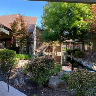 A serene outdoor garden area with lush greenery and a surrounding building.