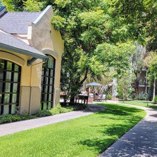 A sunny pathway lined with trees and a building, offering a peaceful outdoor setting.