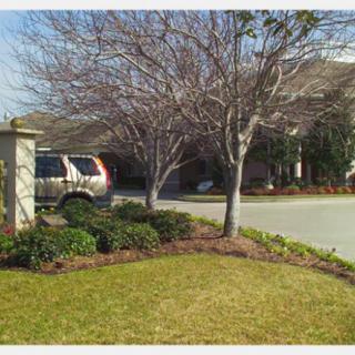 A suburban driveway with a car parked beside well-maintained landscaping featuring trees and bushes.