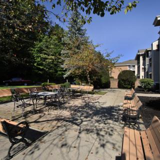 A sunny patio area with benches, tables, and chairs surrounded by trees.