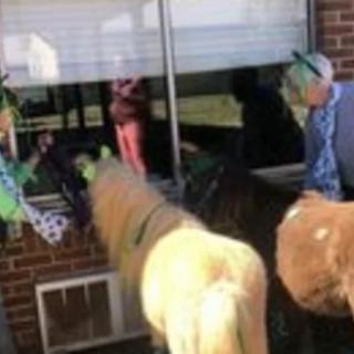 People interacting with horses through a window at a building.