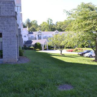 A view of a building surrounded by greenery, with trees and parked cars in the background on a sunny day.
