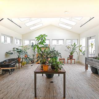 A bright sunroom filled with various potted plants and natural light streaming through skylights.