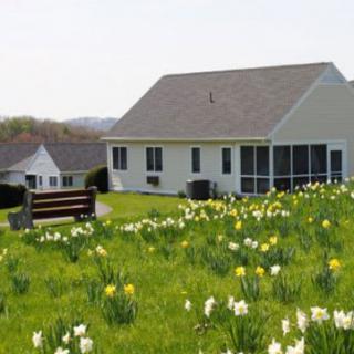 A cozy house surrounded by a lush green lawn dotted with spring flowers and a wooden bench.