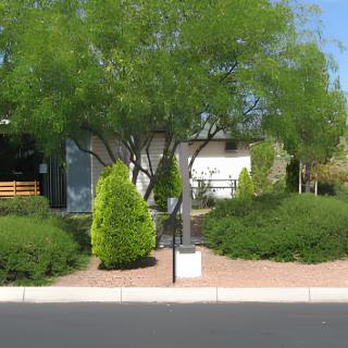 A suburban house with well-maintained landscaping, featuring a large tree and various shrubs near a driveway.