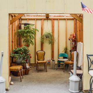 A cozy indoor space featuring a variety of vintage chairs and lush plants.