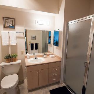 A modern bathroom with a sink, mirror, shower, and toilet.