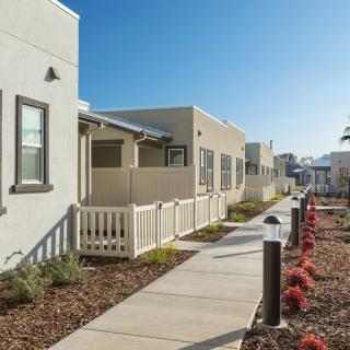 Modern residential housing with a well-maintained walkway and landscaping.
