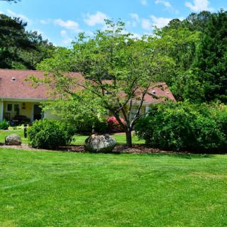A serene view of a house surrounded by a lush garden and vibrant greenery.