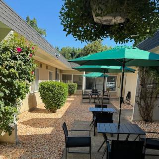 A sunny outdoor patio with tables, chairs, and green umbrellas, surrounded by lush plants.