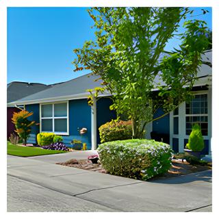 A suburban residential house with a well-maintained garden and a blue exterior.