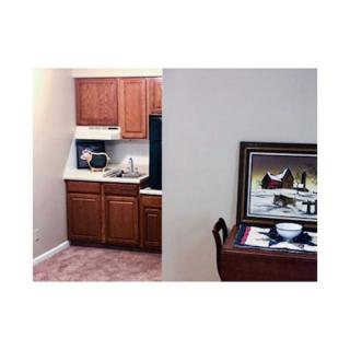 A small kitchen area with wooden cabinets and a countertop, accompanied by a piece of artwork on the wall.