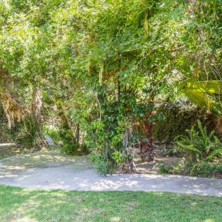 A lush garden filled with various trees and a small pathway winding through the greenery.