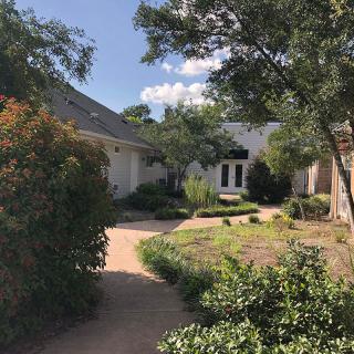 A residential house surrounded by a landscaped garden with a pathway.