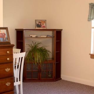 A cozy corner of a living room with a wooden dresser, corner shelf, and an indoor plant.