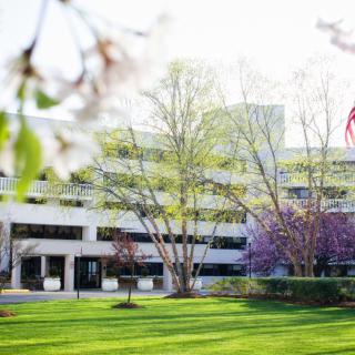 A modern office building surrounded by blossoming trees and lush green grass.