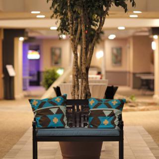 A cozy outdoor bench with colorful patterned cushions placed in front of a large potted tree.
