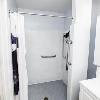 An accessible bathroom shower with a grab bar and modern design.