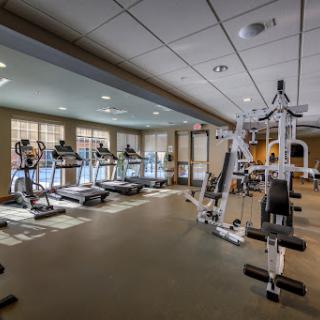 A well-equipped gym featuring treadmills and weight training machines.