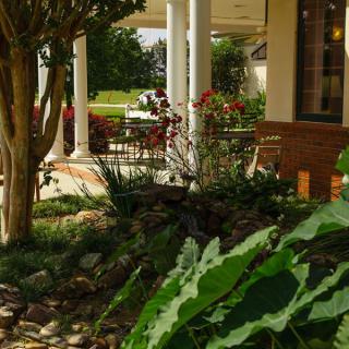 A serene garden view featuring lush greenery and a charming porch area.