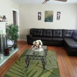 A cozy living room with a black sectional sofa and a glass coffee table, accented by decorative plants and artwork on the walls.