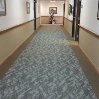A carpeted hallway with closed doors and framed pictures on the walls.