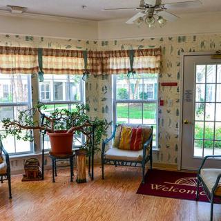 A cozy living area with potted plants, chairs, and large windows letting in natural light.