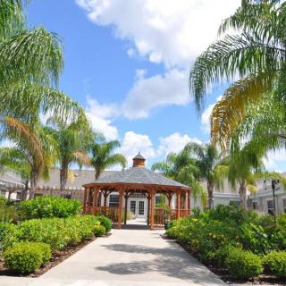 A scenic view of a gazebo surrounded by palm trees and lush greenery under a clear blue sky.
