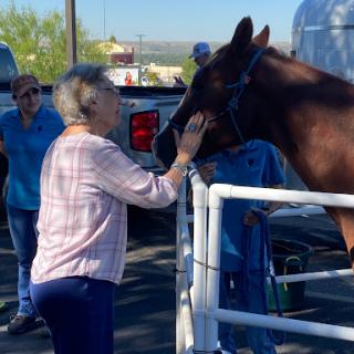 A woman gently petting a horse while others look on in a sunny outdoor setting.