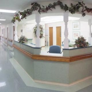 A clean and well-organized hospital reception area with decorative plants.