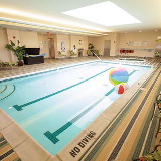 An indoor swimming pool with a colorful beach ball and a 'No Diving' sign, surrounded by potted plants.