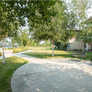 A sunny park with a winding pathway and benches surrounded by lush greenery.