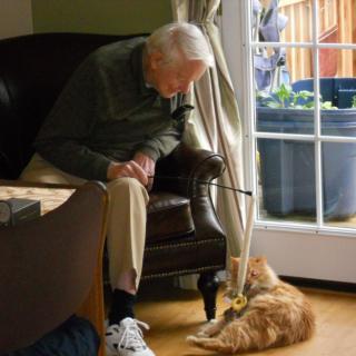 An elderly man sitting in a chair, interacting with a cat by the window.