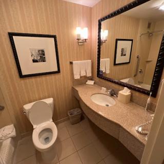 A well-designed bathroom featuring modern amenities and elegant decor.