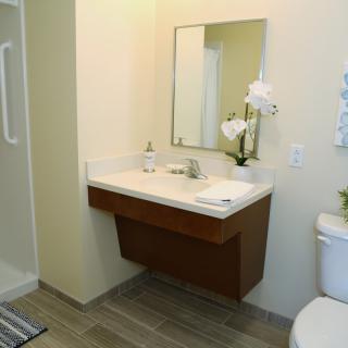 A modern bathroom features a sleek sink with a mirror, complemented by a toilet and elegant decor.