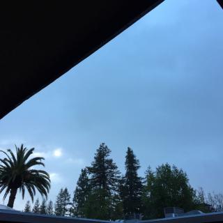 A cloudy sky with trees and a palm tree in the foreground.