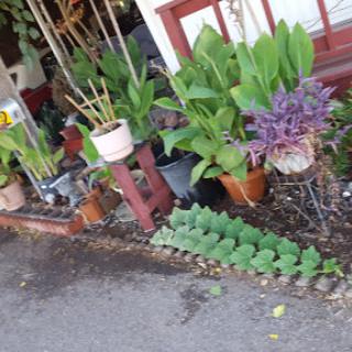 La Casita