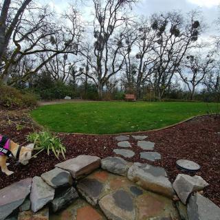 A landscaped backyard with a stone path leading to a grassy lawn, surrounded by tall trees under an overcast sky.