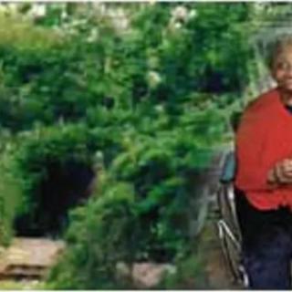 A person in a wheelchair enjoying the lush greenery of nature.