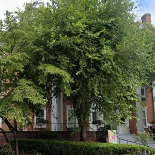 A residential brick house partially obscured by lush greenery and trees.
