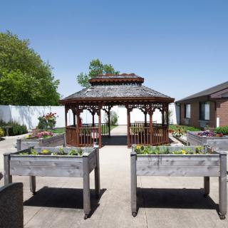 A serene outdoor garden with raised planters and a wooden gazebo under a clear blue sky.