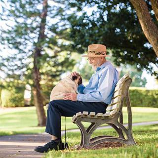 An elderly man sitting on a bench in the park, enjoying a peaceful moment with his dog.