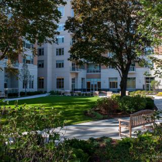 A peaceful urban garden with benches and trees in front of a building.