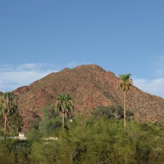 A scenic view of a desert mountain landscape with palm trees under a clear blue sky.