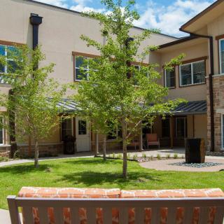 A peaceful courtyard featuring trees and a bench, situated outside a modern building.